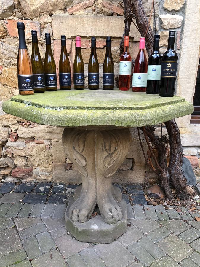 Weingut Zumstein Hotel Bad Duerkheim Exterior photo